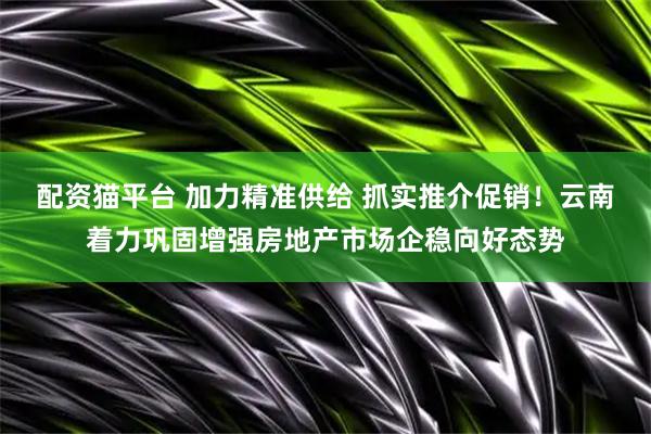 配资猫平台 加力精准供给 抓实推介促销！云南着力巩固增强房地产市场企稳向好态势