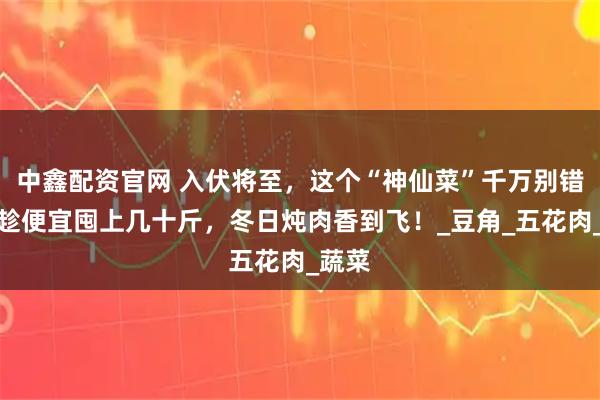中鑫配资官网 入伏将至，这个“神仙菜”千万别错过！趁便宜囤上几十斤，冬日炖肉香到飞！_豆角_五花肉_蔬菜