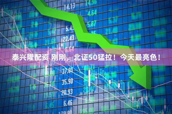 泰兴隆配资 刚刚，北证50猛拉！今天最亮色！