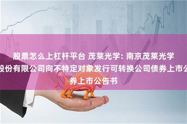 股票怎么上杠杆平台 茂莱光学: 南京茂莱光学科技股份有限公司向不特定对象发行可转换公司债券上市公告书